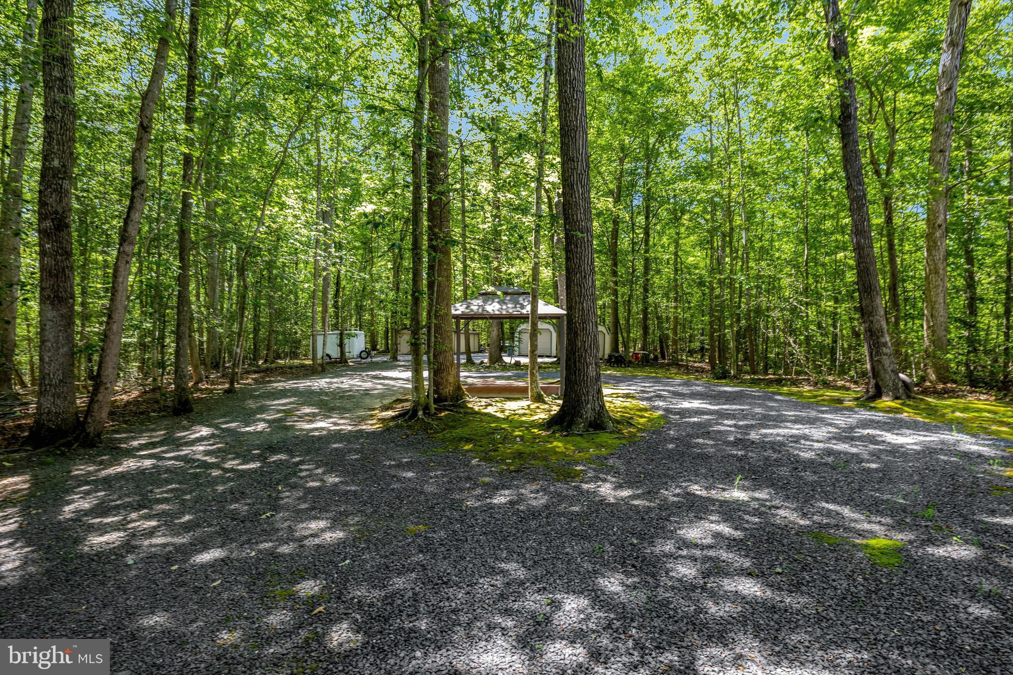 13650 Independence Ridge Nokesville, VA 20181 - Photo 87 of 98 Private Gravel Access Road & Wooded Grounds