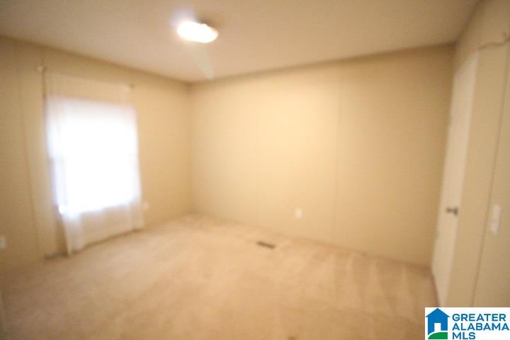 180 Memory Lane Ragland, AL 35131 - Photo 11 of 14