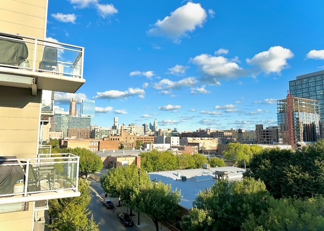 1120 West Adams Street, Unit 5W Chicago, IL 60607 - Photo 28 of 28