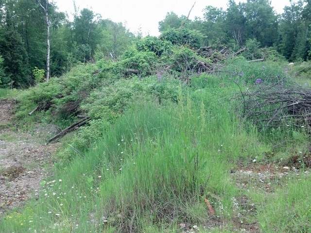 Near West Timber Drive Rhinelander, WI 54501 - Photo 19 of 20 Gallery Image 19