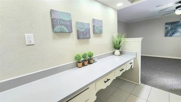 a room with a potted plant on the counter