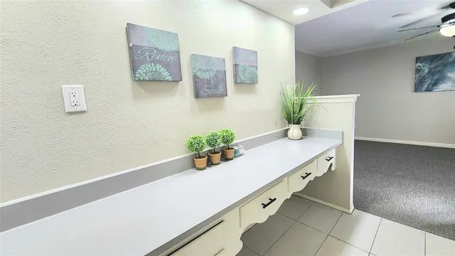 a room with a potted plant on the counter