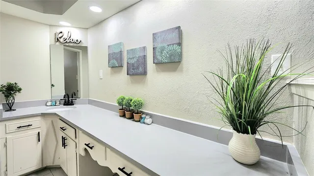 a view of bathroom with a potted plant on the counter and sink