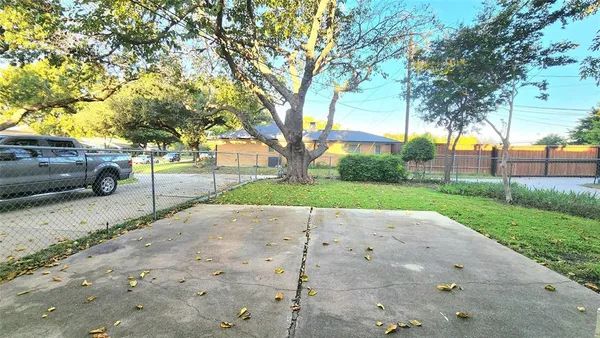 a view of a park with trees and plants