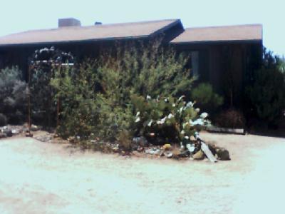 11475 West Picture Rocks Road Tucson, AZ 85743 - Photo 1 of 7 Gallery Image 1