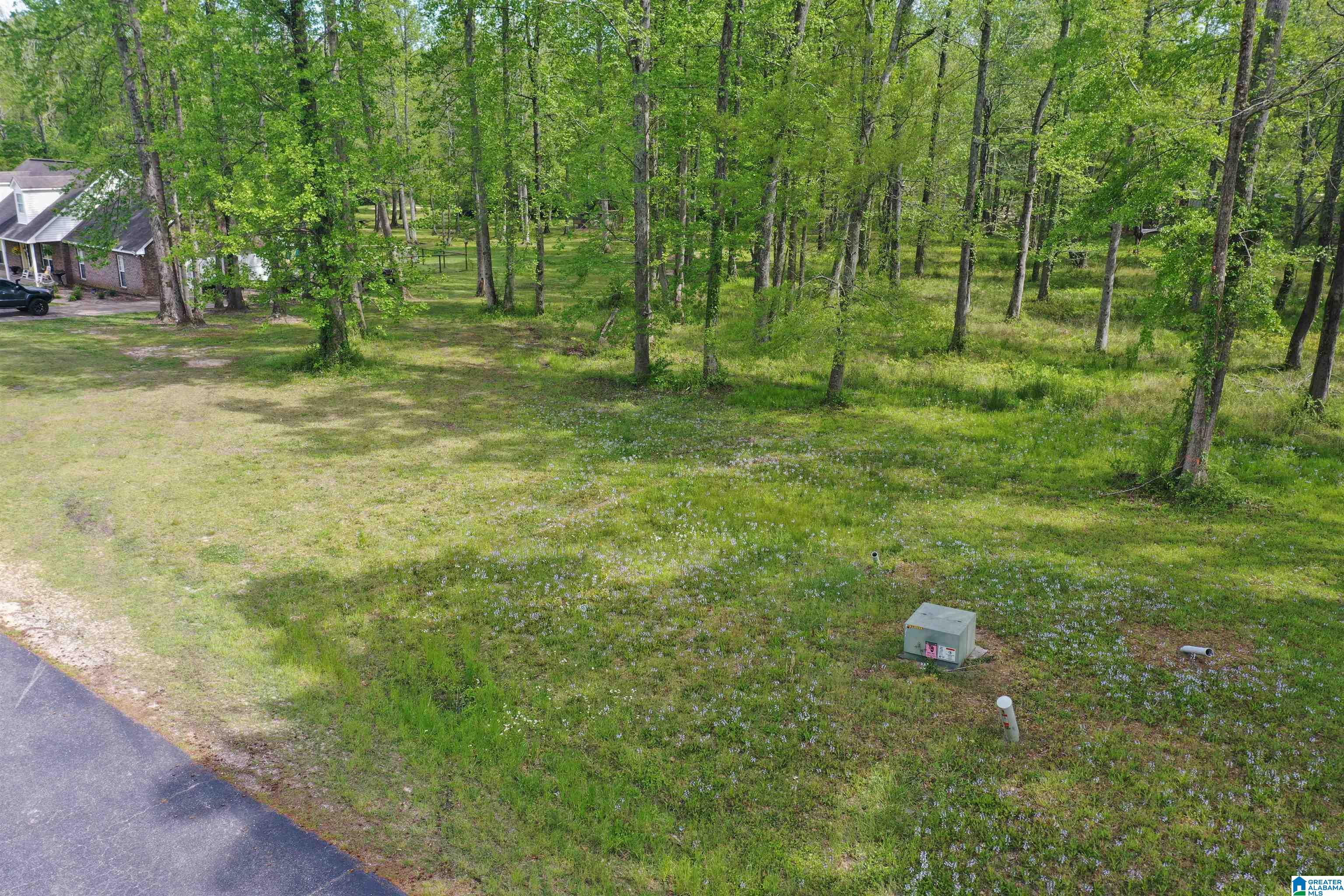 797 County Road Clanton, AL 35045 - Photo 6 of 44