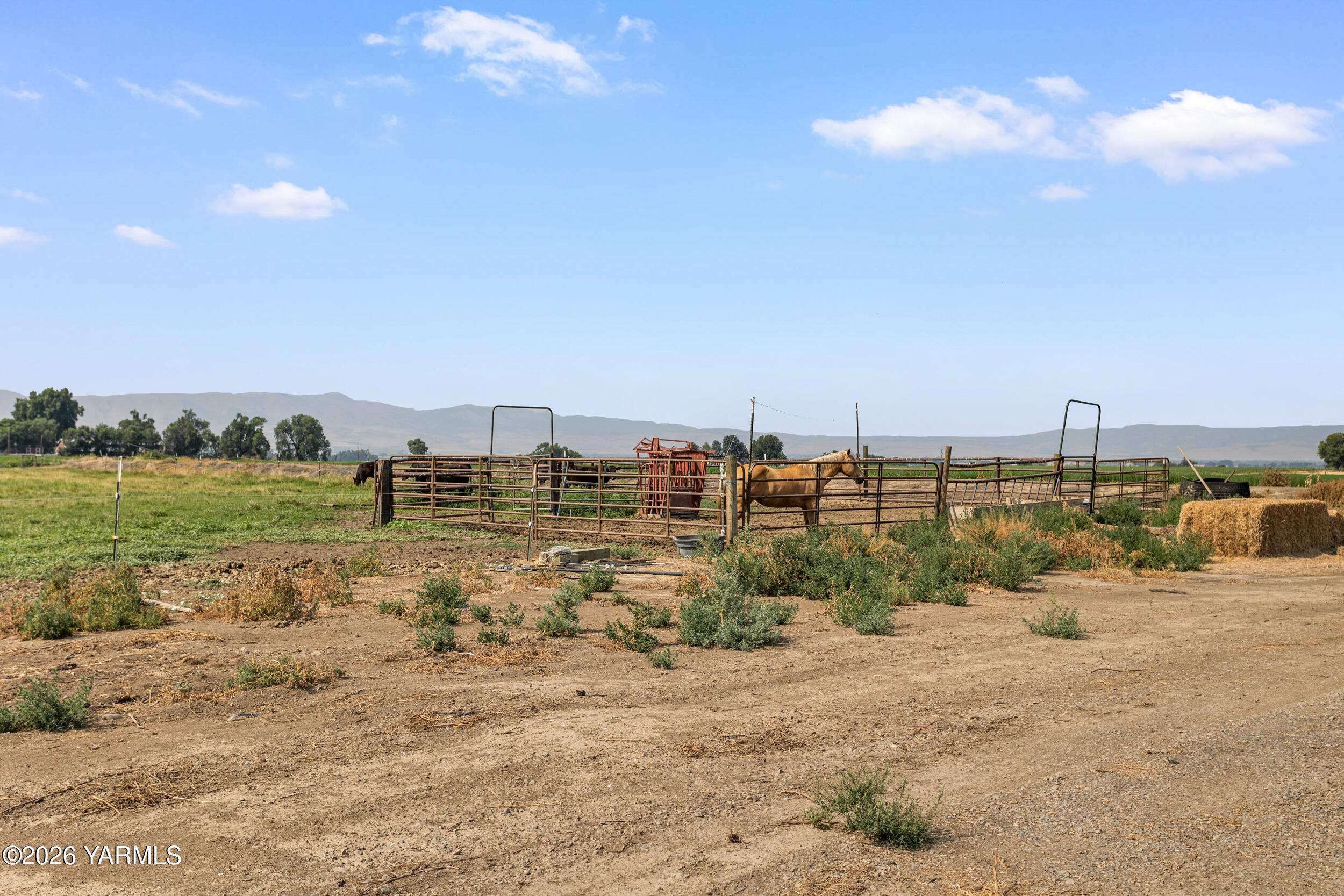2660 Brownstown Road Harrah, WA 98933 - Photo 58 of 88 Farm animal corra.