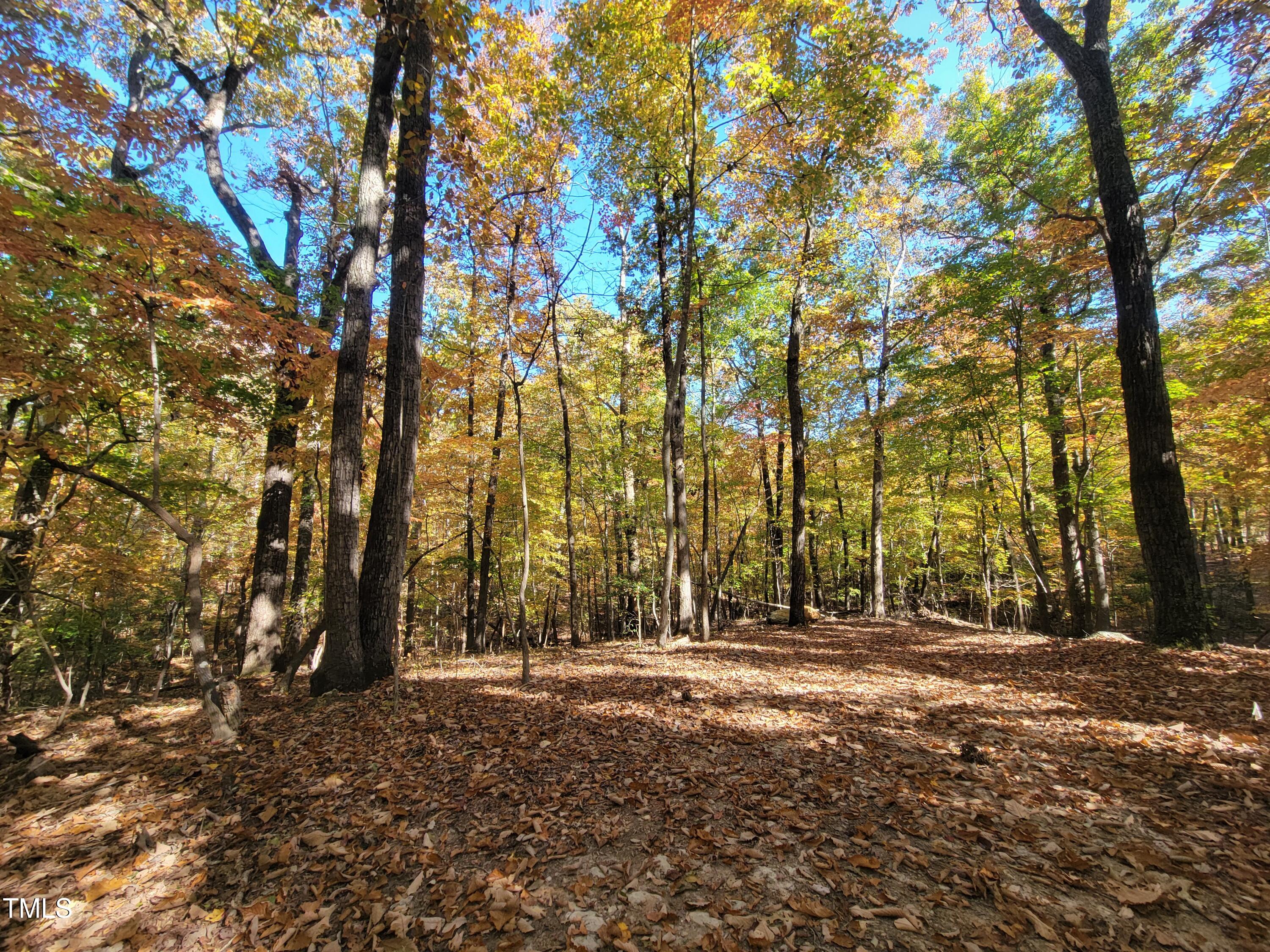 669 Crabtree Glenn Road Rougemont, NC 27572 - Photo 2 of 8 a backyard of a house with lots of green space