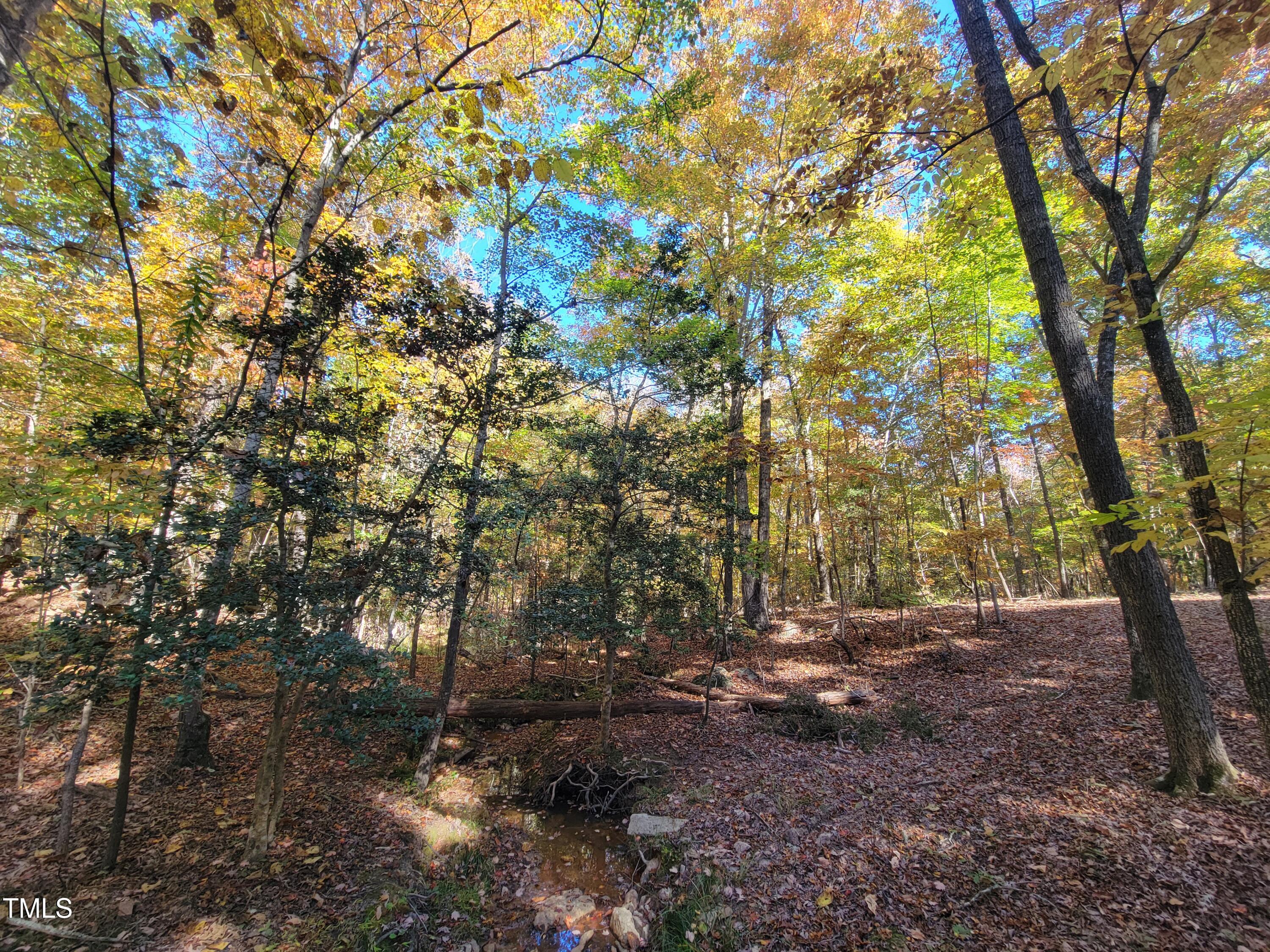 669 Crabtree Glenn Road Rougemont, NC 27572 - Photo 4 of 8
