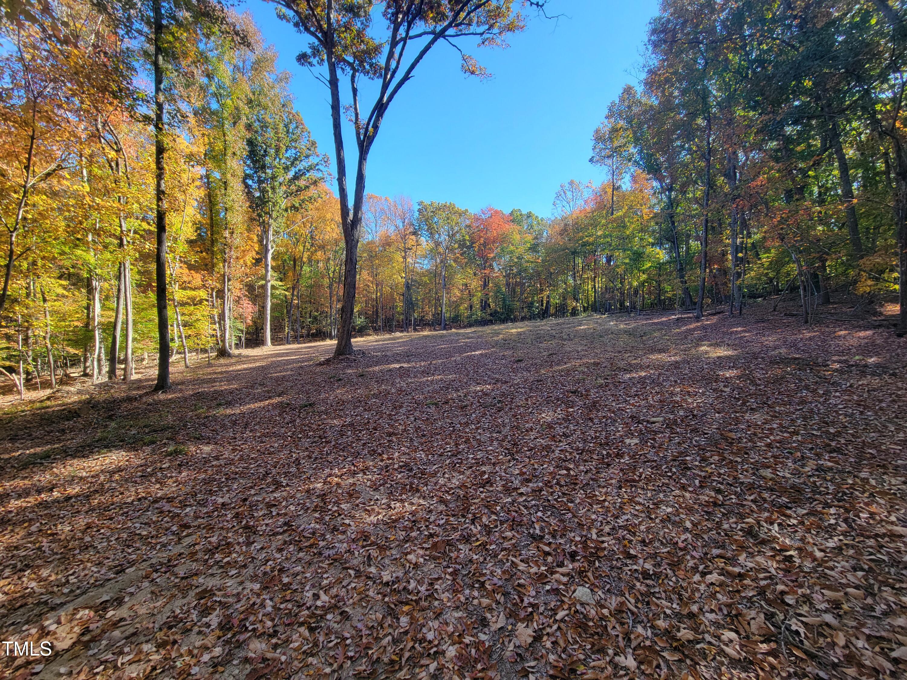 669 Crabtree Glenn Road Rougemont, NC 27572 - Photo 7 of 8 a view of outdoor space with trees