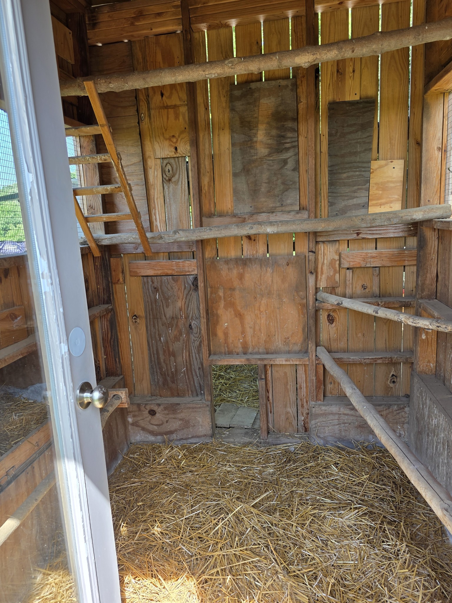 4 Lewis James Lane Riddleton, TN 37151 - Photo 48 of 62