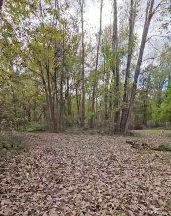 37 Risch Road North Webberville, MI 48892 - Photo 8 of 20
