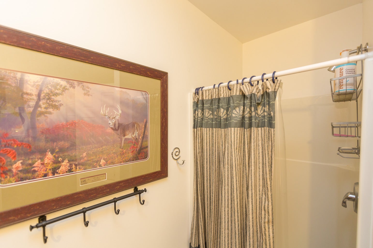 130 Bowman Road Hamilton, MT 59840 - Photo 29 of 35 Gallery Image 29