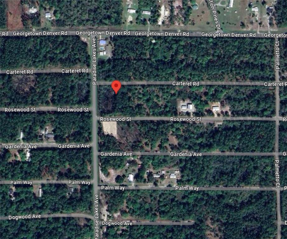 305 Carteret Road Georgetown, FL 32139 - Photo 11 of 11