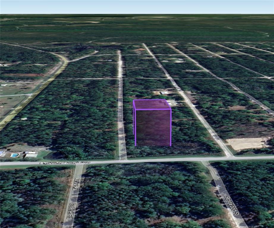 305 Carteret Road Georgetown, FL 32139 - Photo 3 of 11