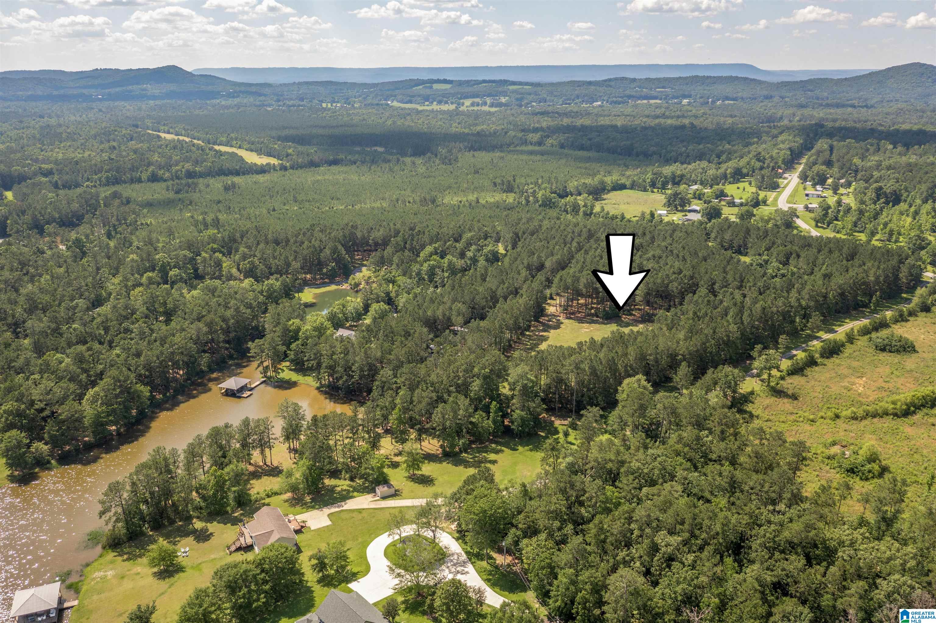 89 Golden Pond Road, Unit 9 Ashville, AL 35953 - Photo 32 of 35