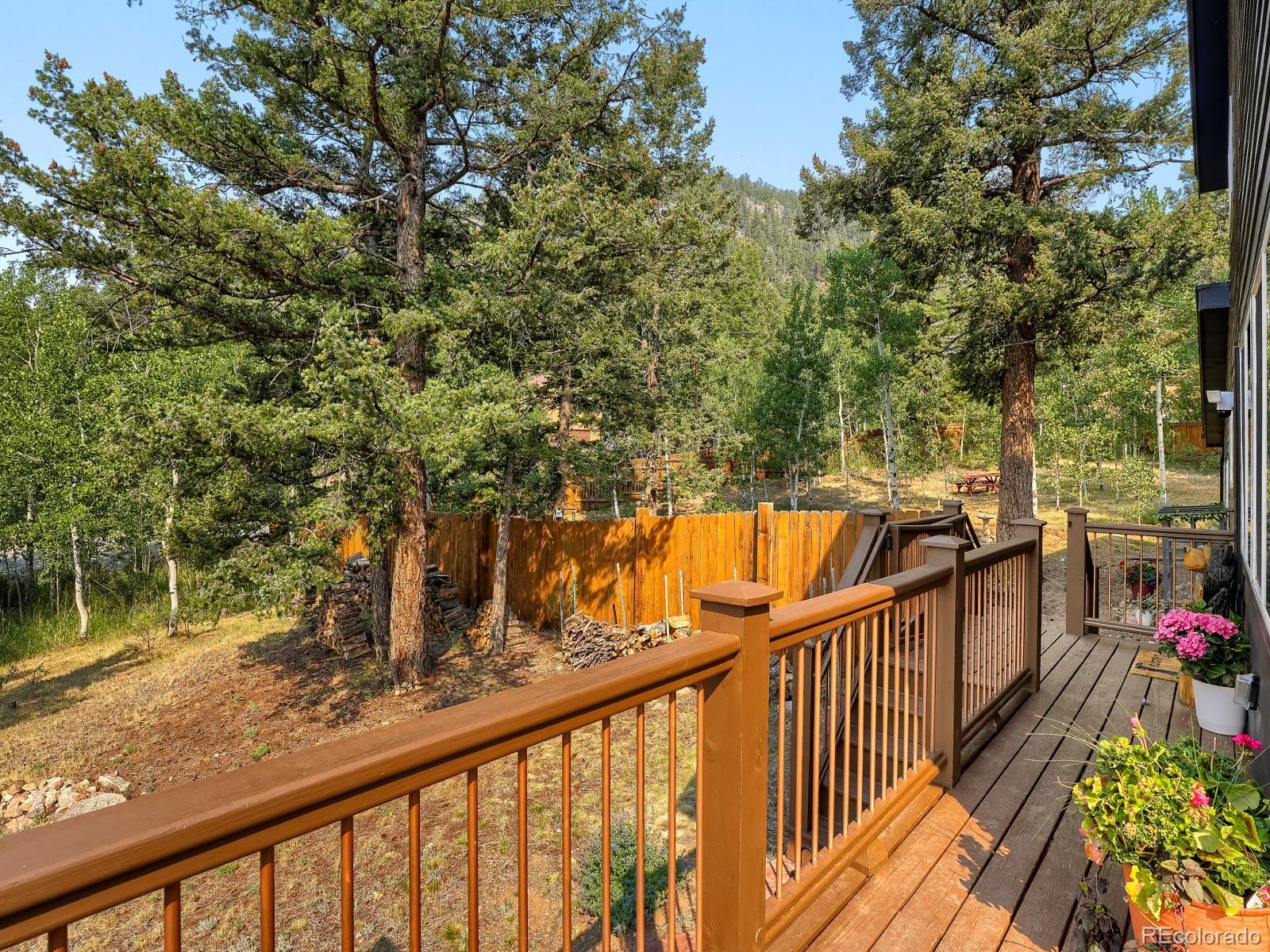 31289 Florence Road Conifer, CO 80433 - Photo 41 of 47