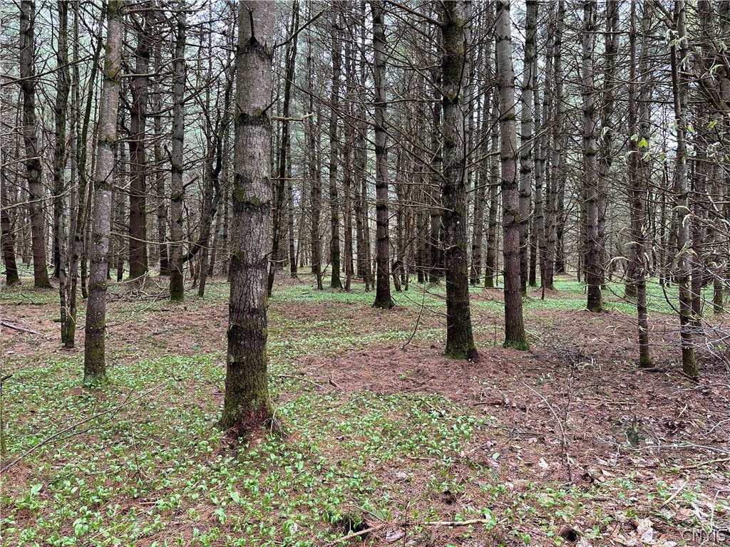 0 Rt-8 Ohio, NY 13324 - Photo 1 of 1 Gallery Image 1
