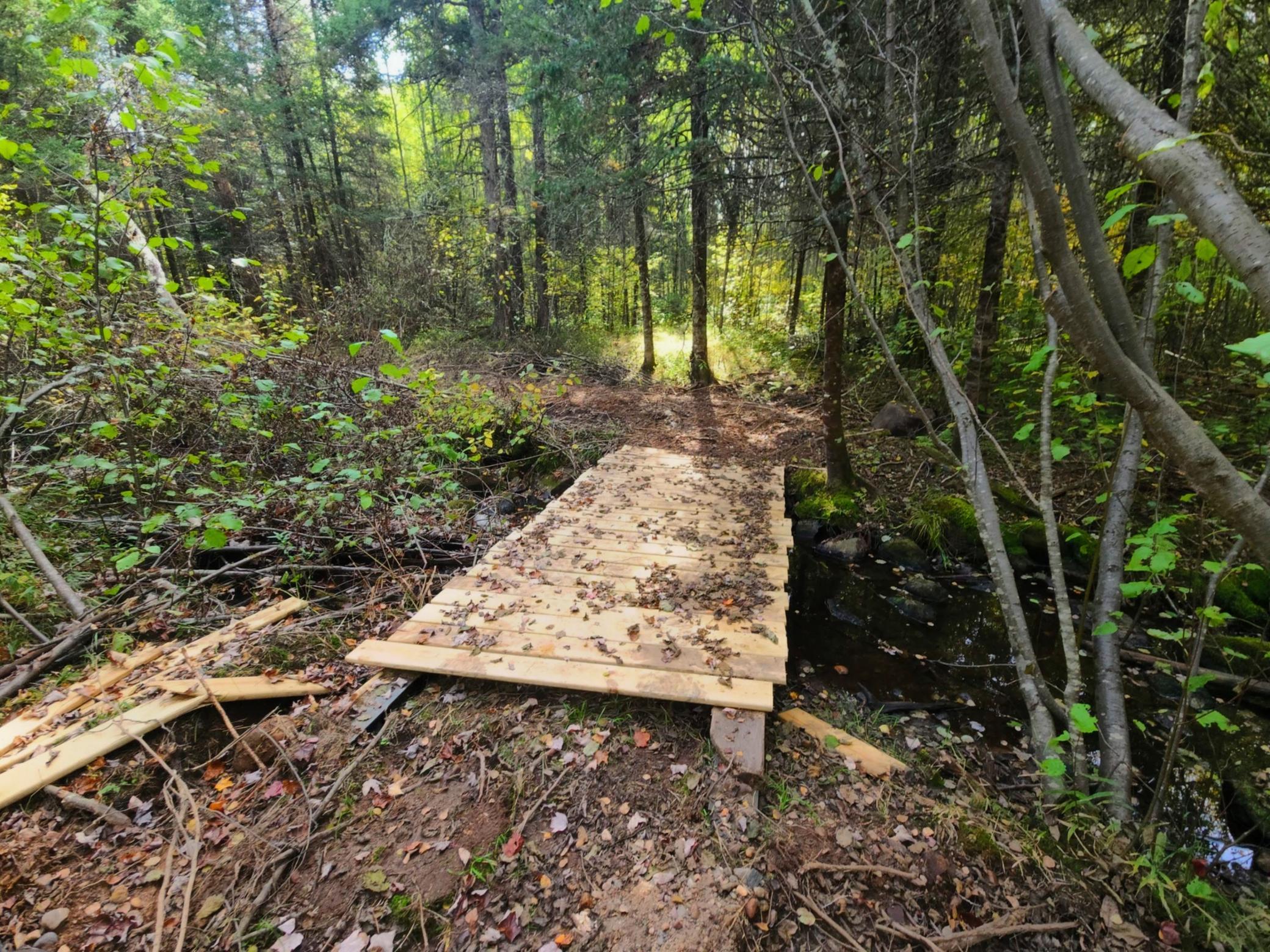 72429 Bear Lake Road Butternut, WI 54514 - Photo 12 of 28