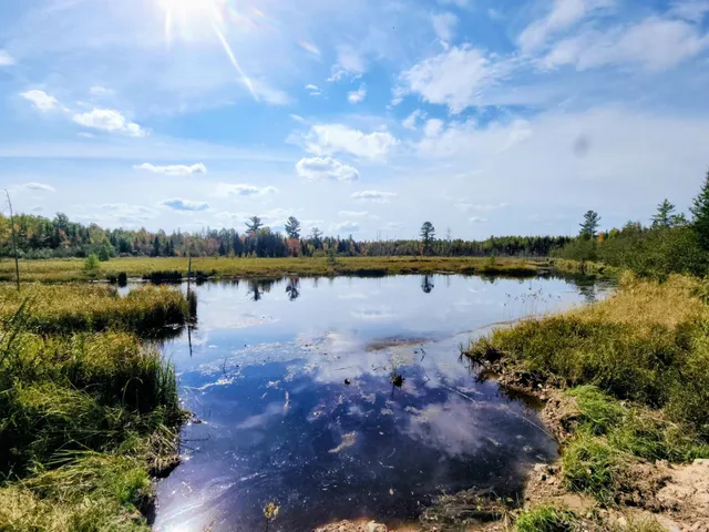 $155,000 | 72429 Bear Lake Road, Butternut, WI 54514