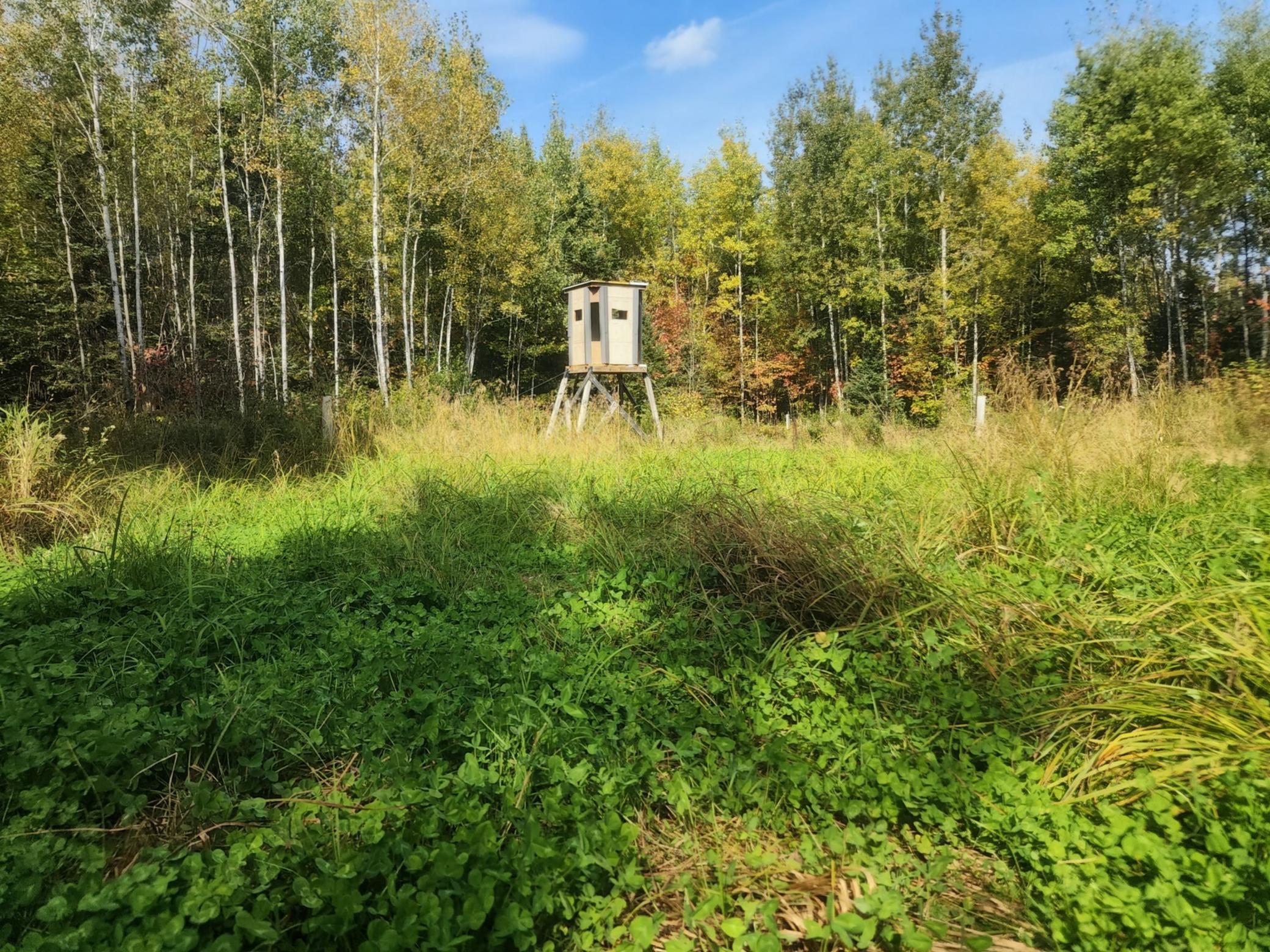 72429 Bear Lake Road Butternut, WI 54514 - Photo 6 of 28