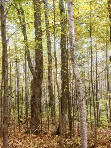 $155,000 | 72429 Bear Lake Road, Butternut, WI 54514