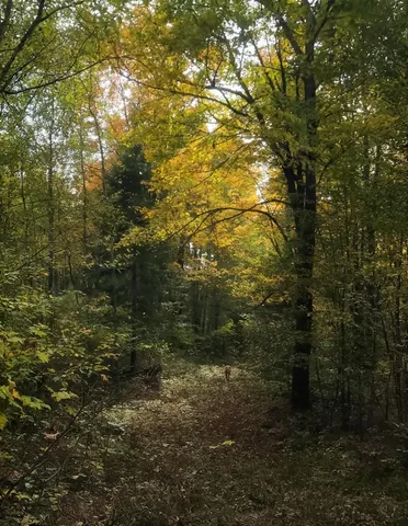 $155,000 | 72429 Bear Lake Road, Butternut, WI 54514