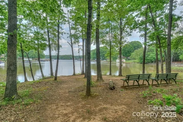 a view of a park with large trees