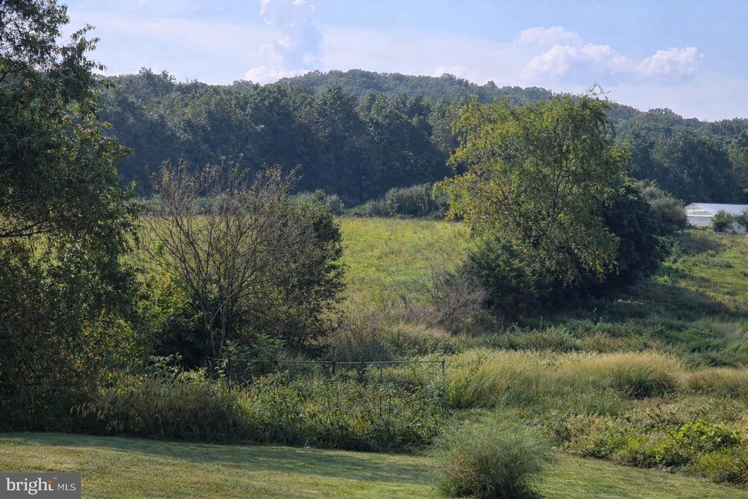 613 Airport Road Luray, VA 22835 - Photo 5 of 5