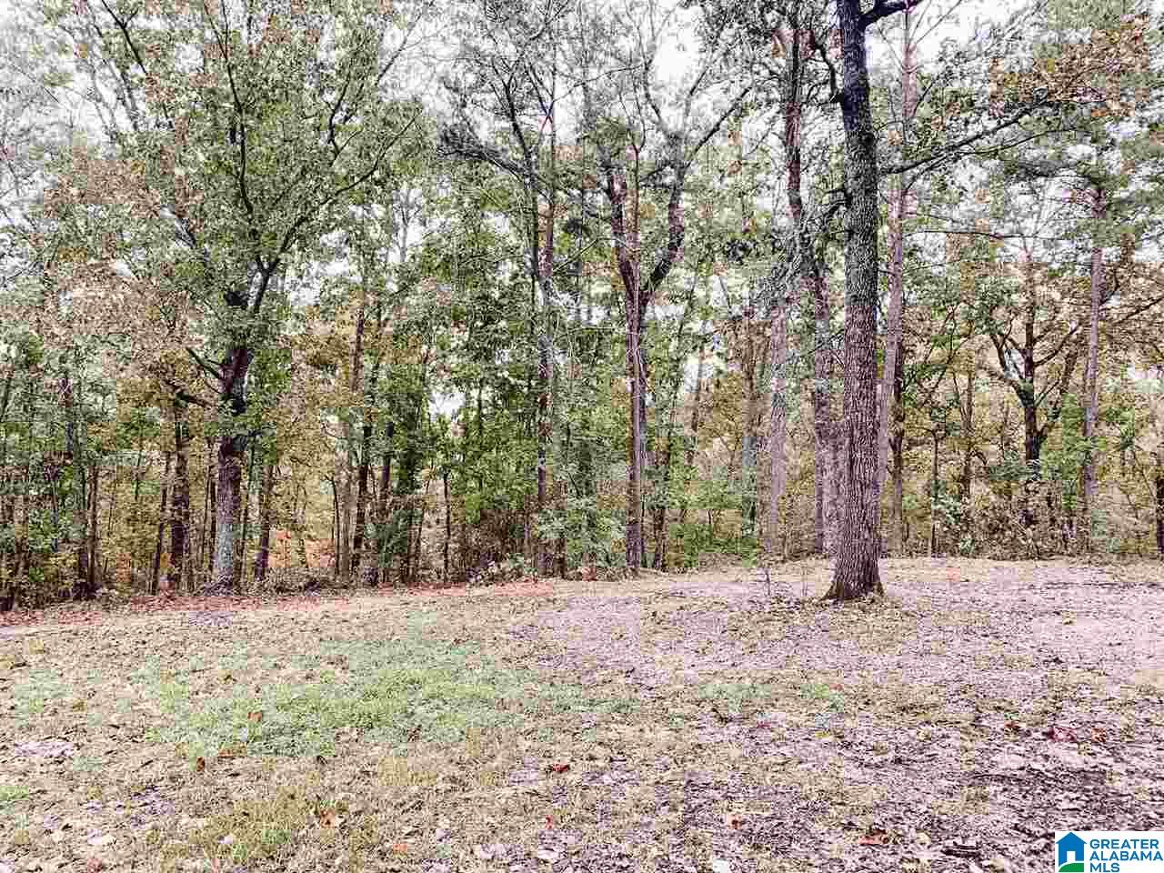 281 Colvin Springs Road Ashville, AL 35953 - Photo 4 of 34
