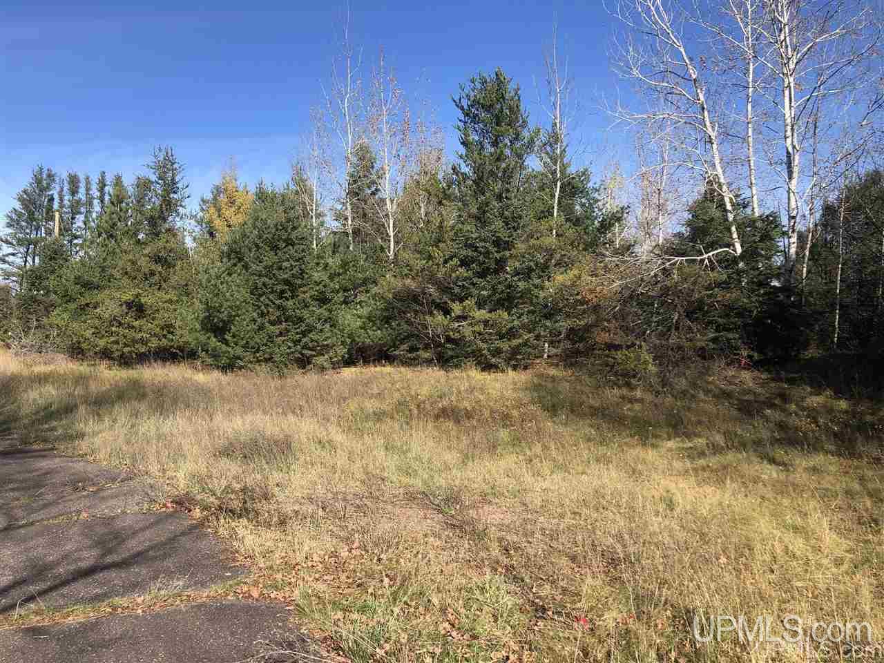 Tbd Tbd Us41 Ishpeming, MI 49849 - Photo 7 of 13
