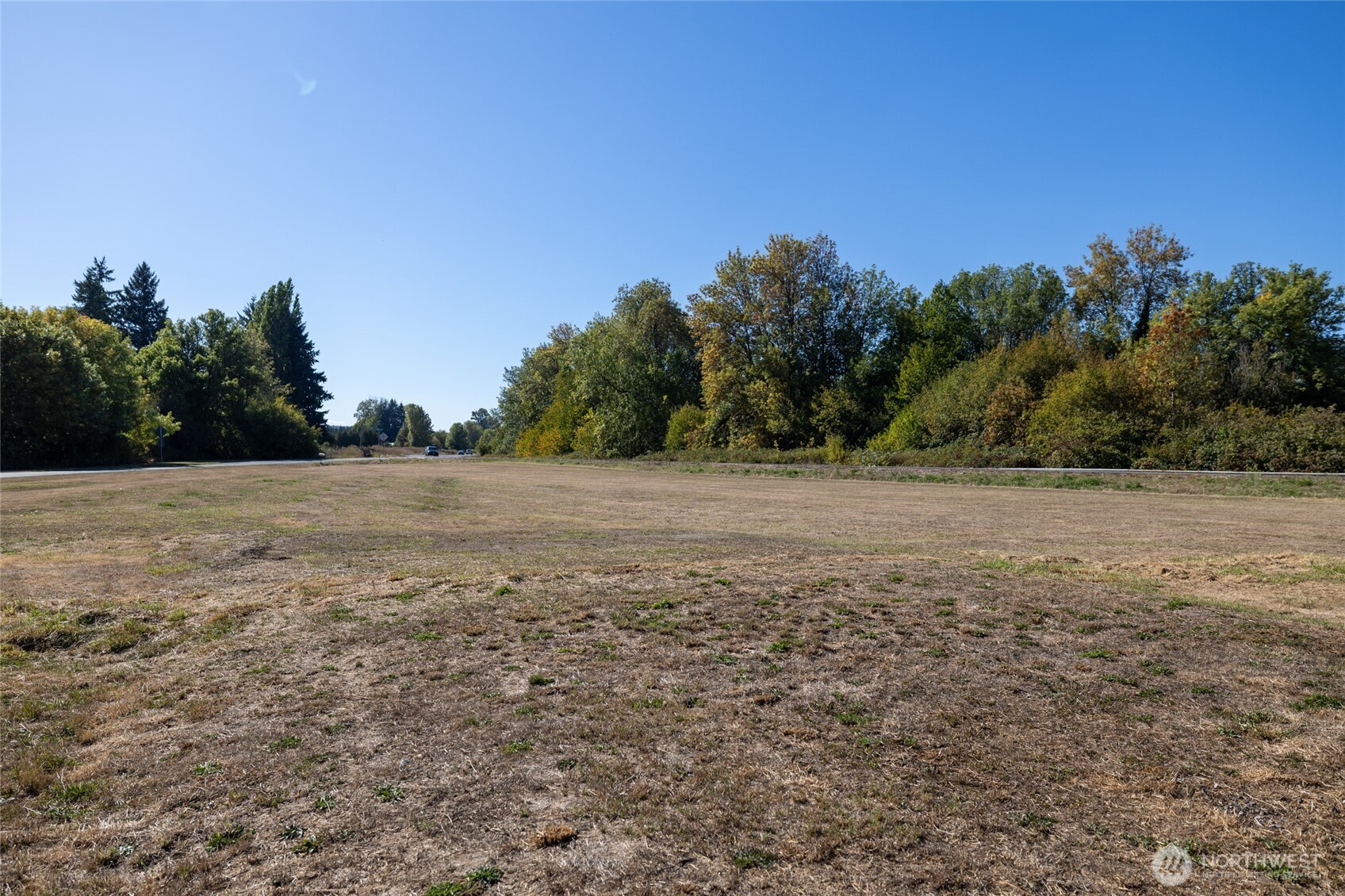 121 Cabe Road Chehalis, WA 98532 - Photo 8 of 35 Gallery Image 8