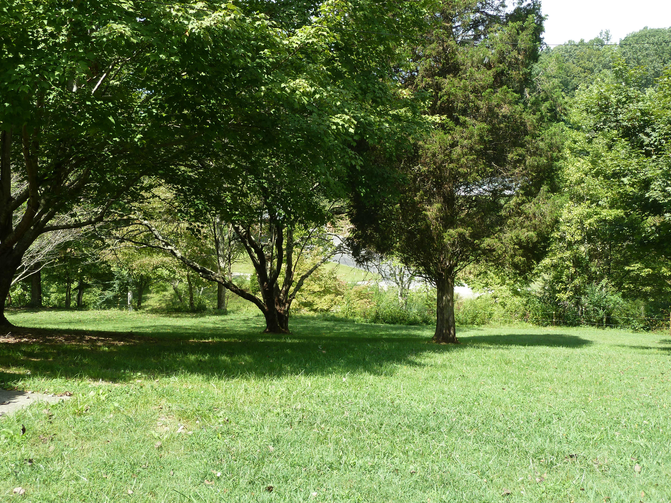 3825 Hickory Valley Road Maynardville, TN 37807 - Photo 8 of 27 P1100543