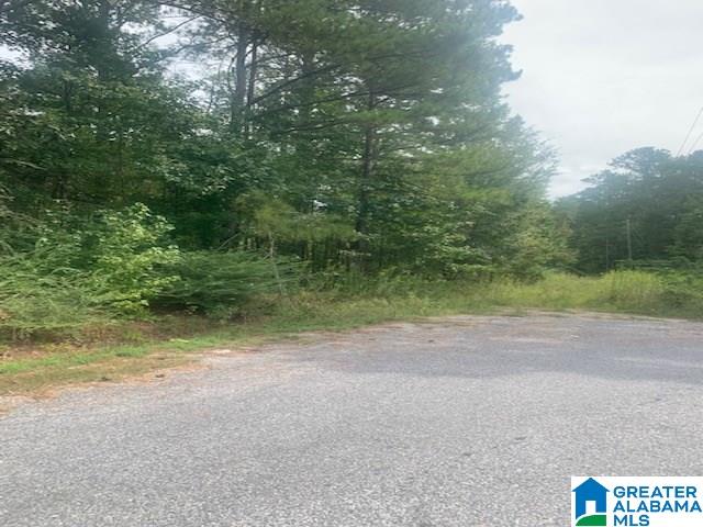 0 Jones Road Alpine, AL 35014 - Photo 5 of 7