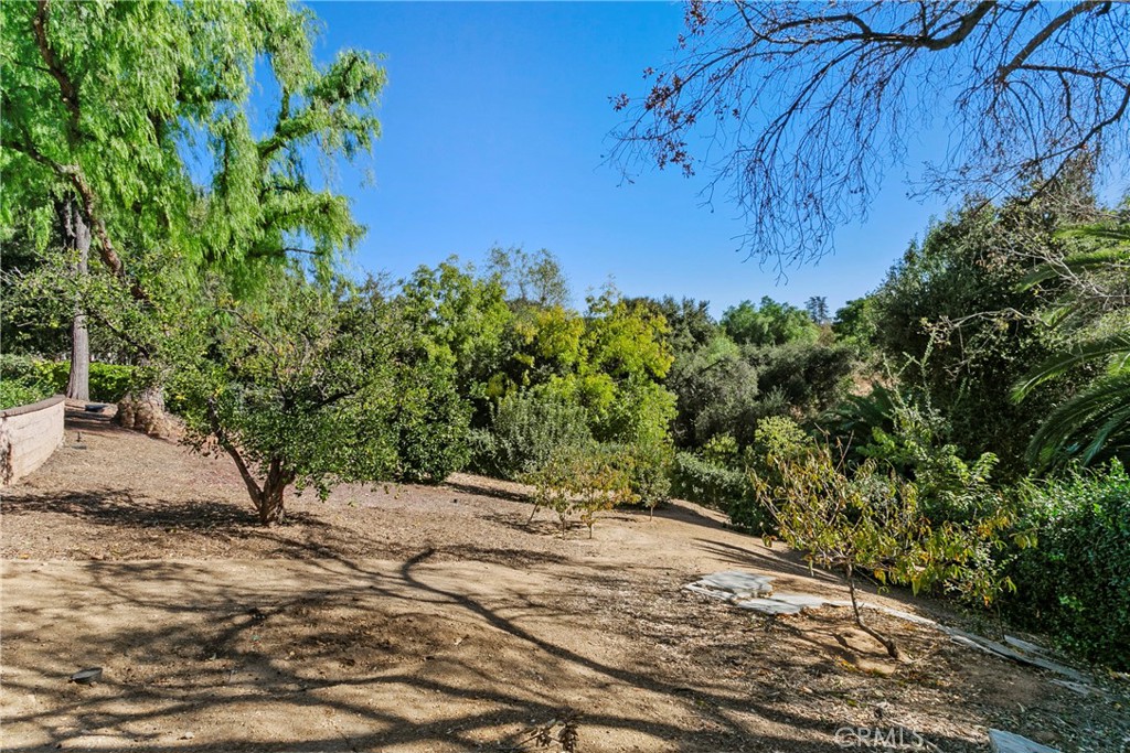 3305 Rancho Rio Bonita Road Covina, CA 91724 - Photo 46 of 71 a view of a yard with plants and trees