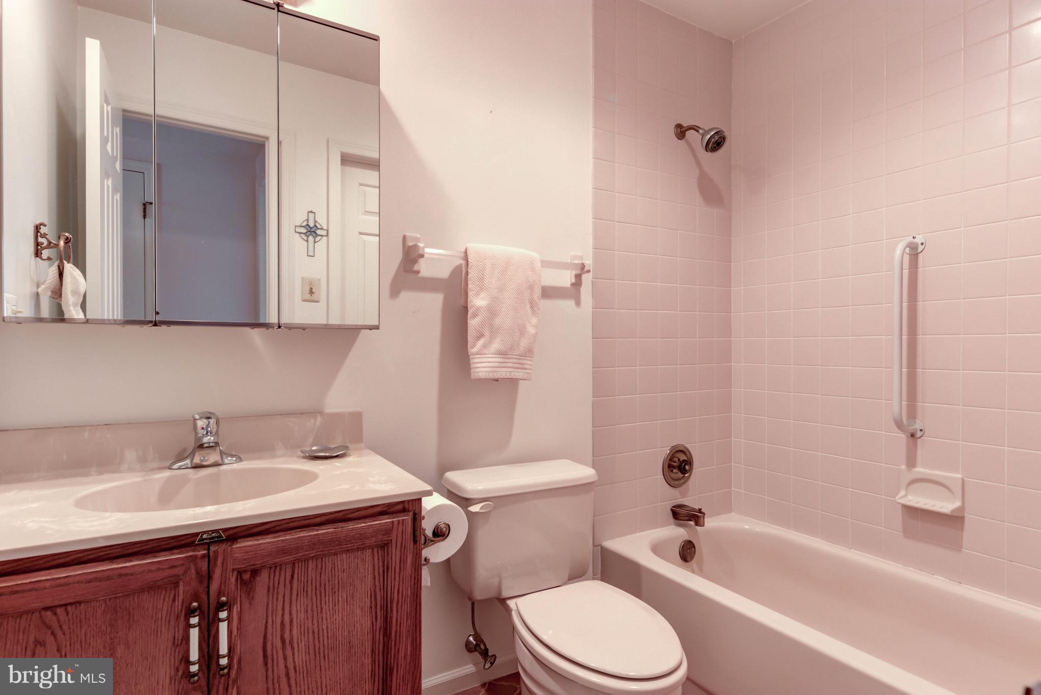 204 Springhouse Pond Chesterbrook, PA 19087 - Photo 30 of 35 Hall Bathroom