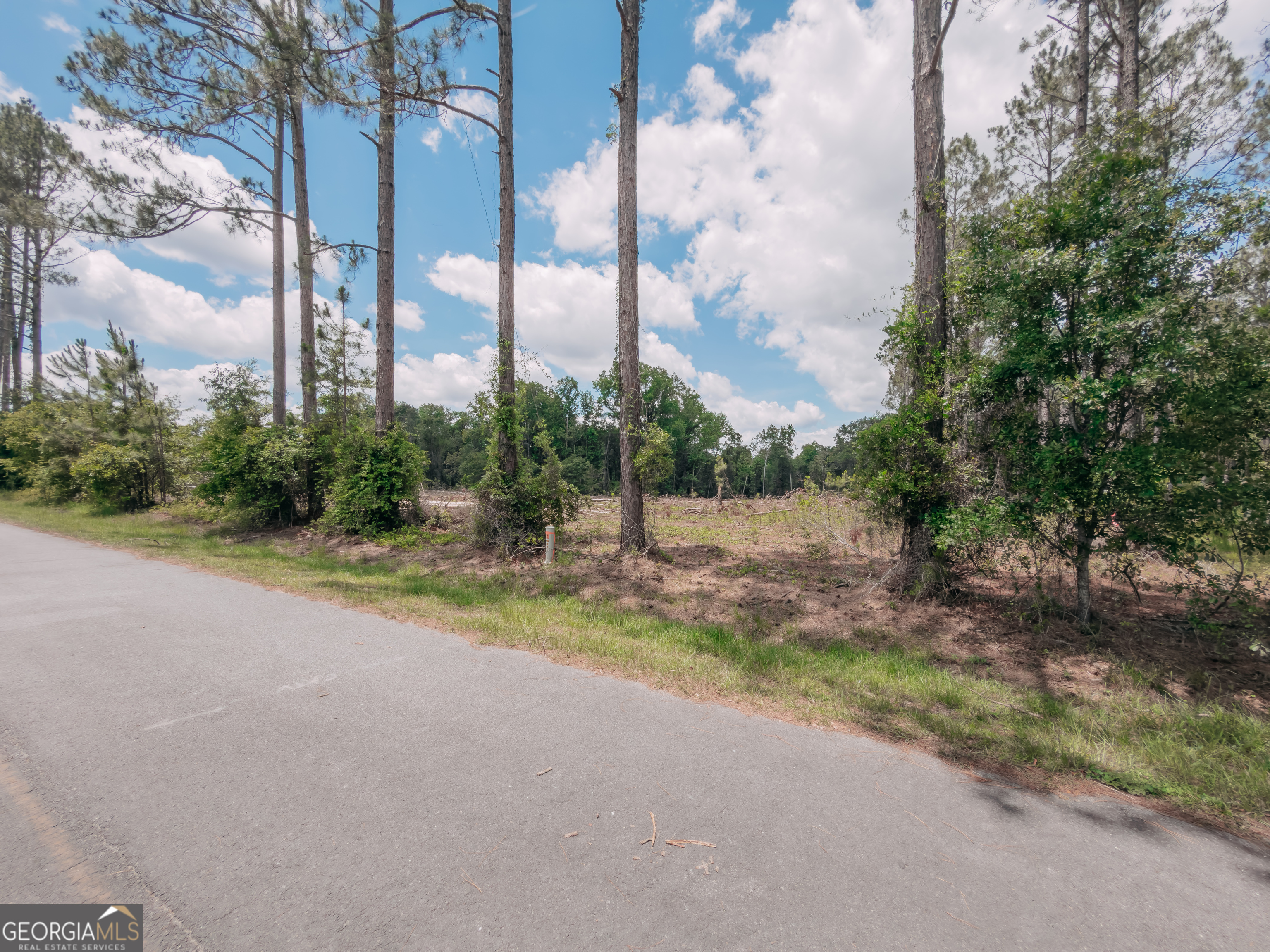 0 Issac Road Claxton, GA 30417 - Photo 2 of 11