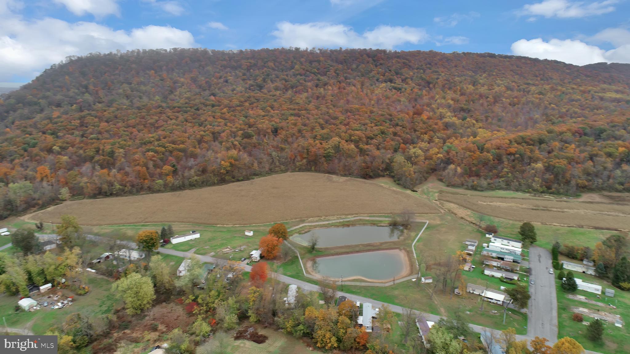 0 McClellan Road Halifax, PA 17032 - Photo 12 of 15