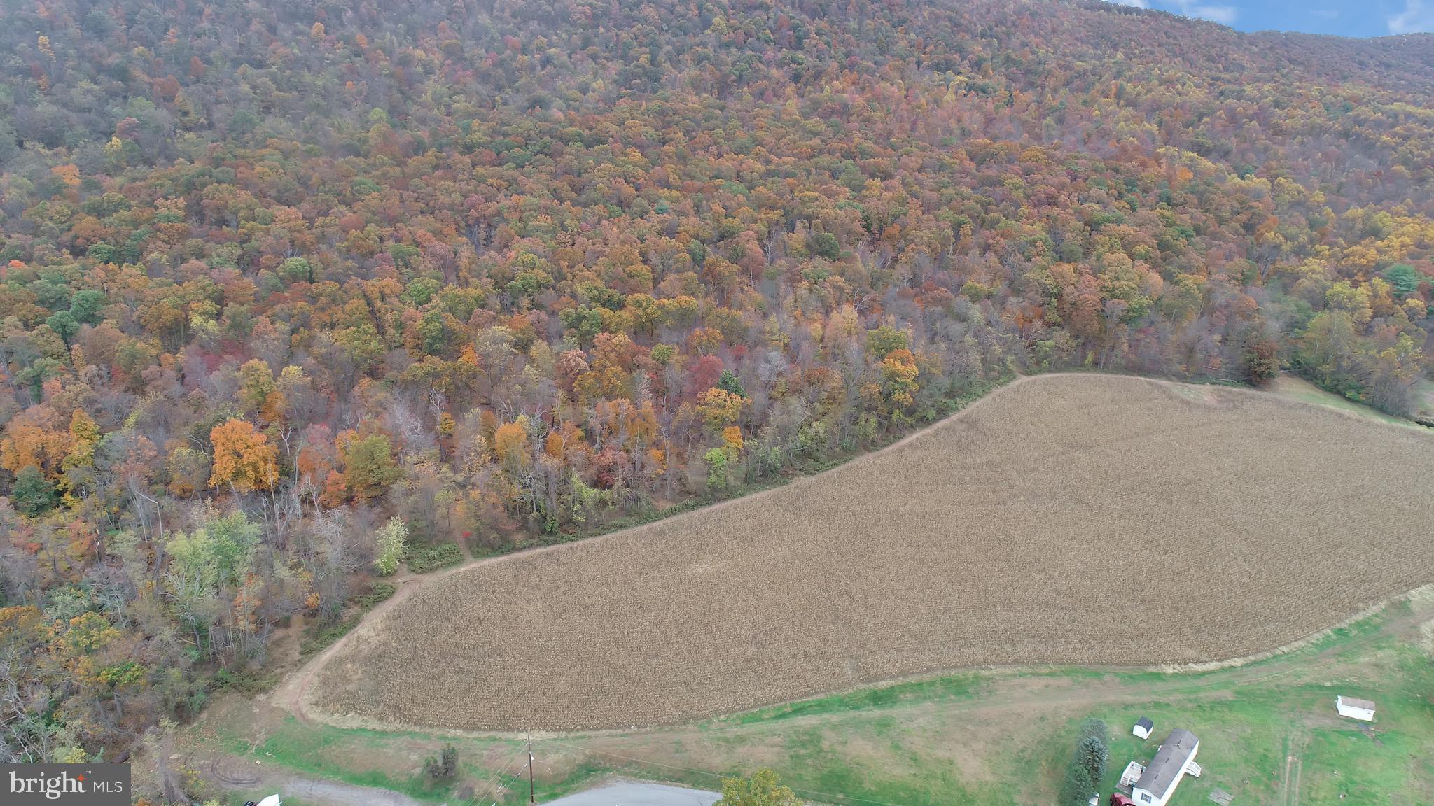 0 McClellan Road Halifax, PA 17032 - Photo 14 of 15