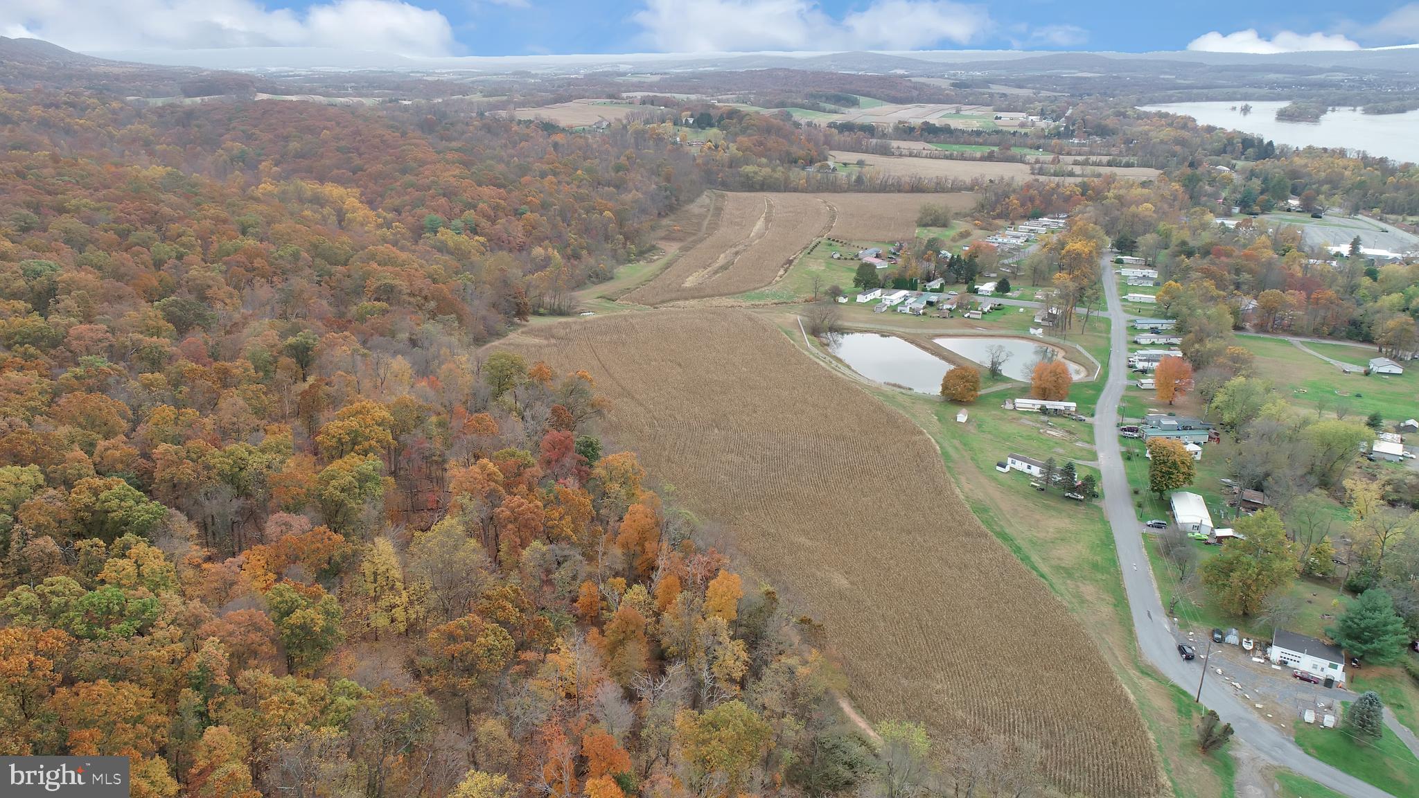 0 McClellan Road Halifax, PA 17032 - Photo 3 of 15