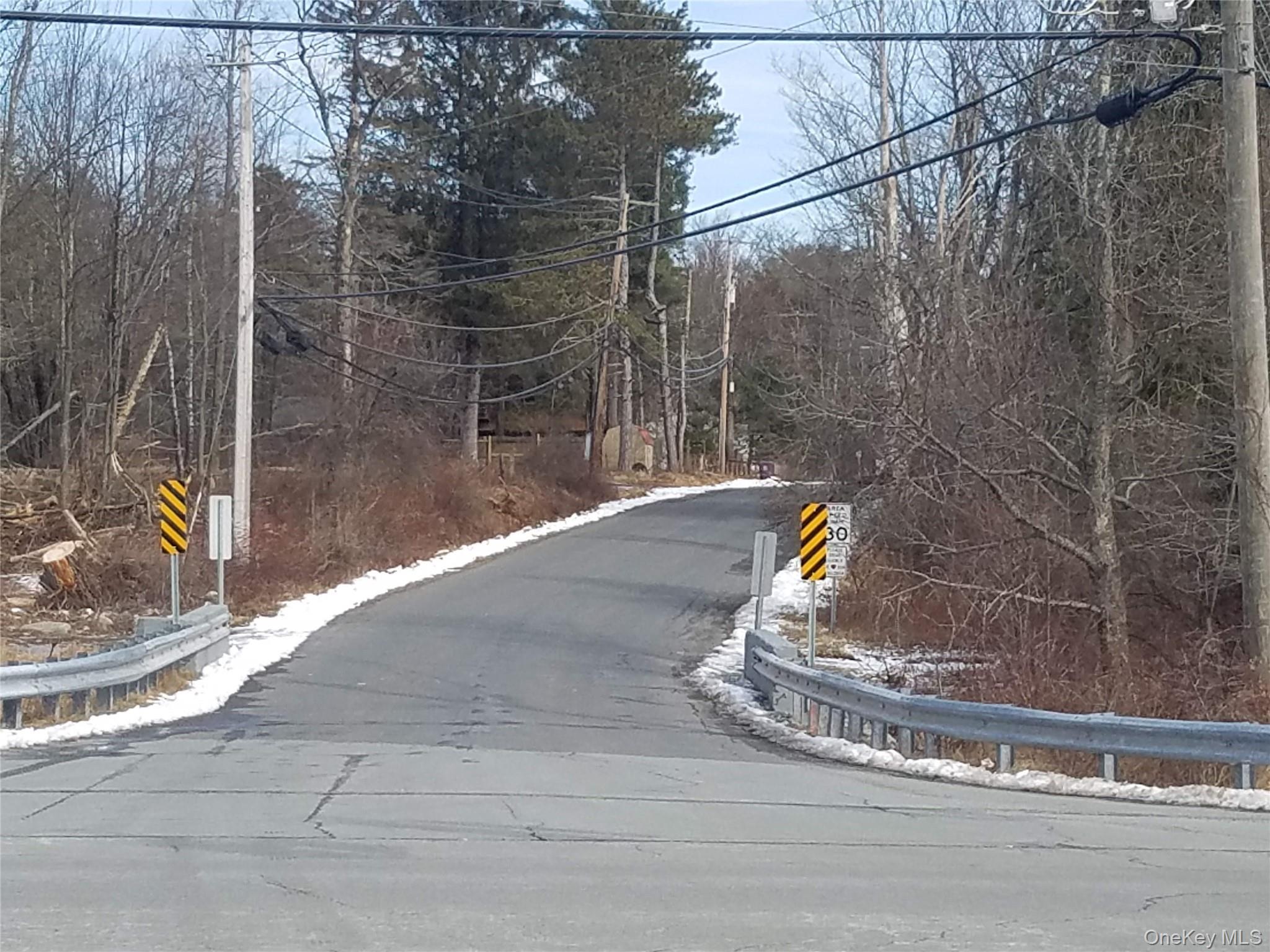 59 Lanahan Road Monticello, NY 12701 - Photo 11 of 12