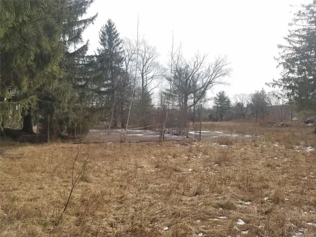 a view of a backyard with large trees