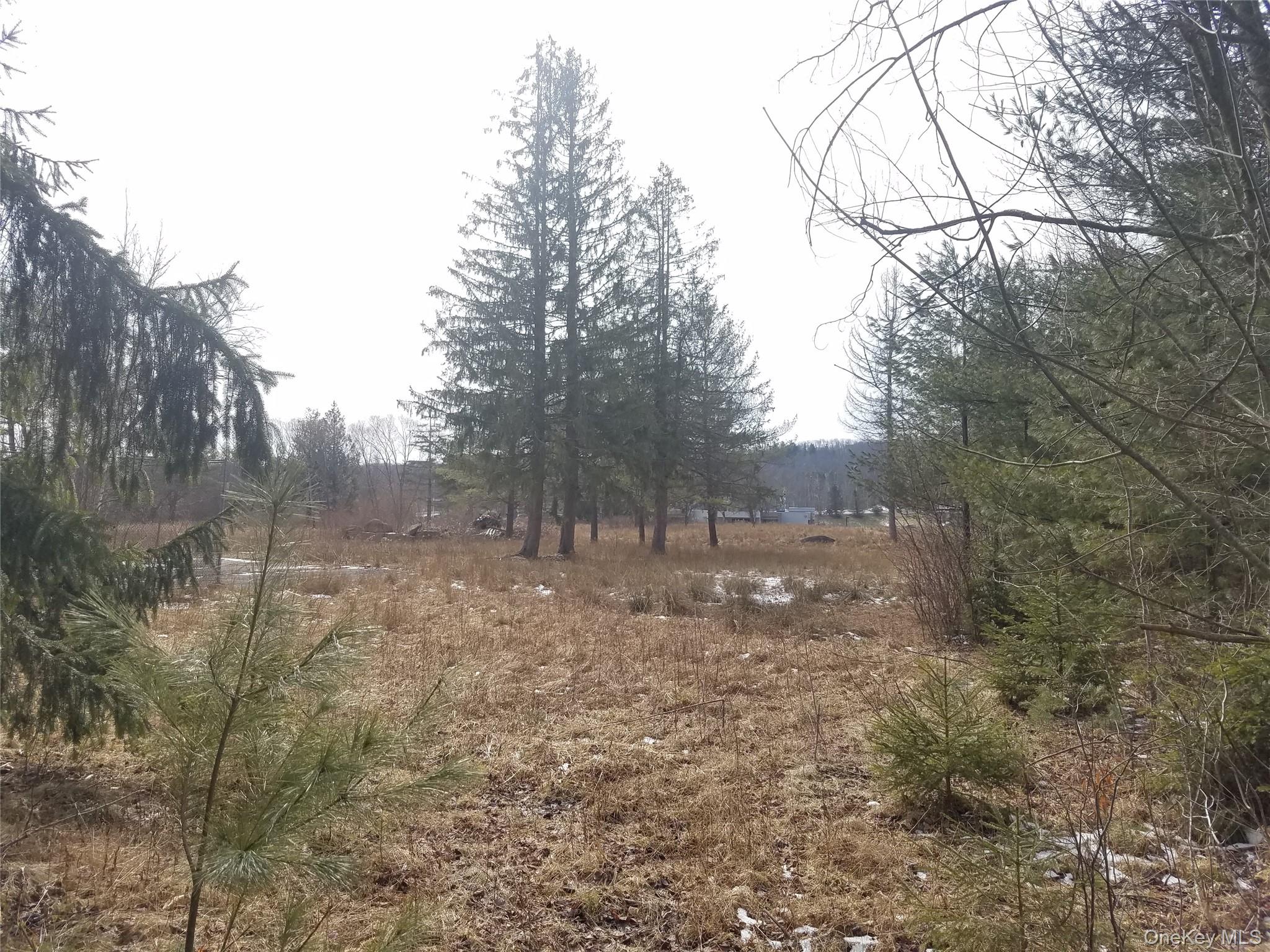 59 Lanahan Road Monticello, NY 12701 - Photo 7 of 12