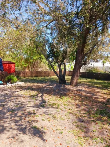 a view of a yard with a tree
