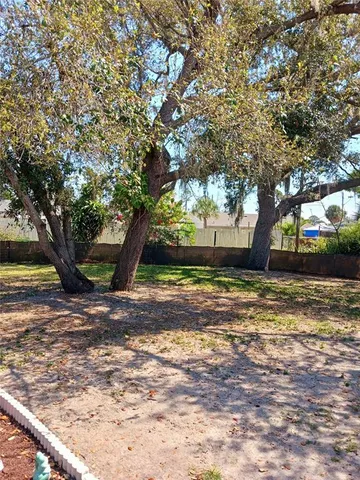 a view of a yard with a tree