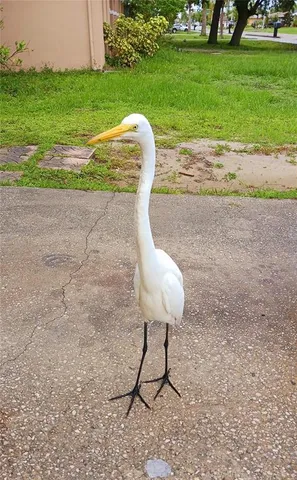 a backyard of a house with a yard and outdoor seating