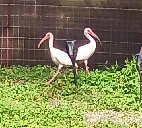 $272,500 | 1586 Beacon Drive, Port Charlotte, FL 33952