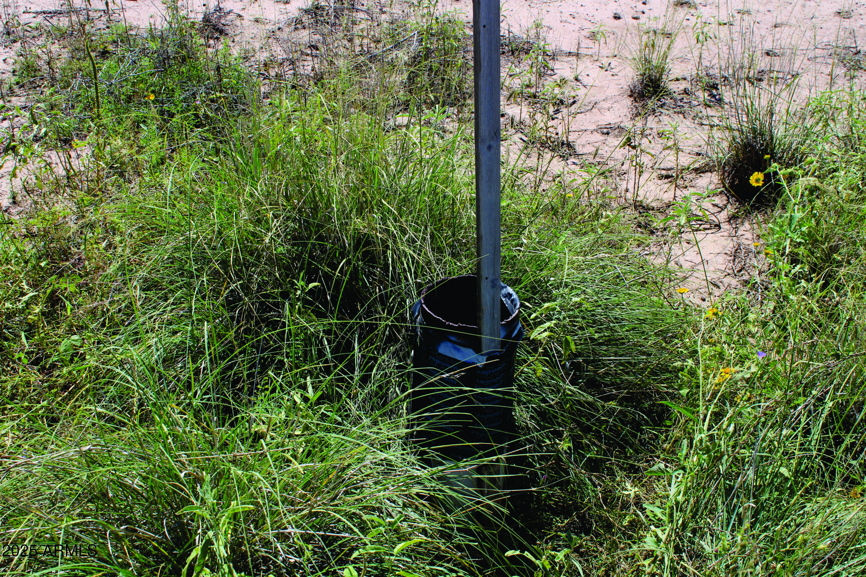 73.44-acre West Latimer Road, Unit L McNeal, AZ 85617 - Photo 18 of 22 a backyard of a house with lots of green space