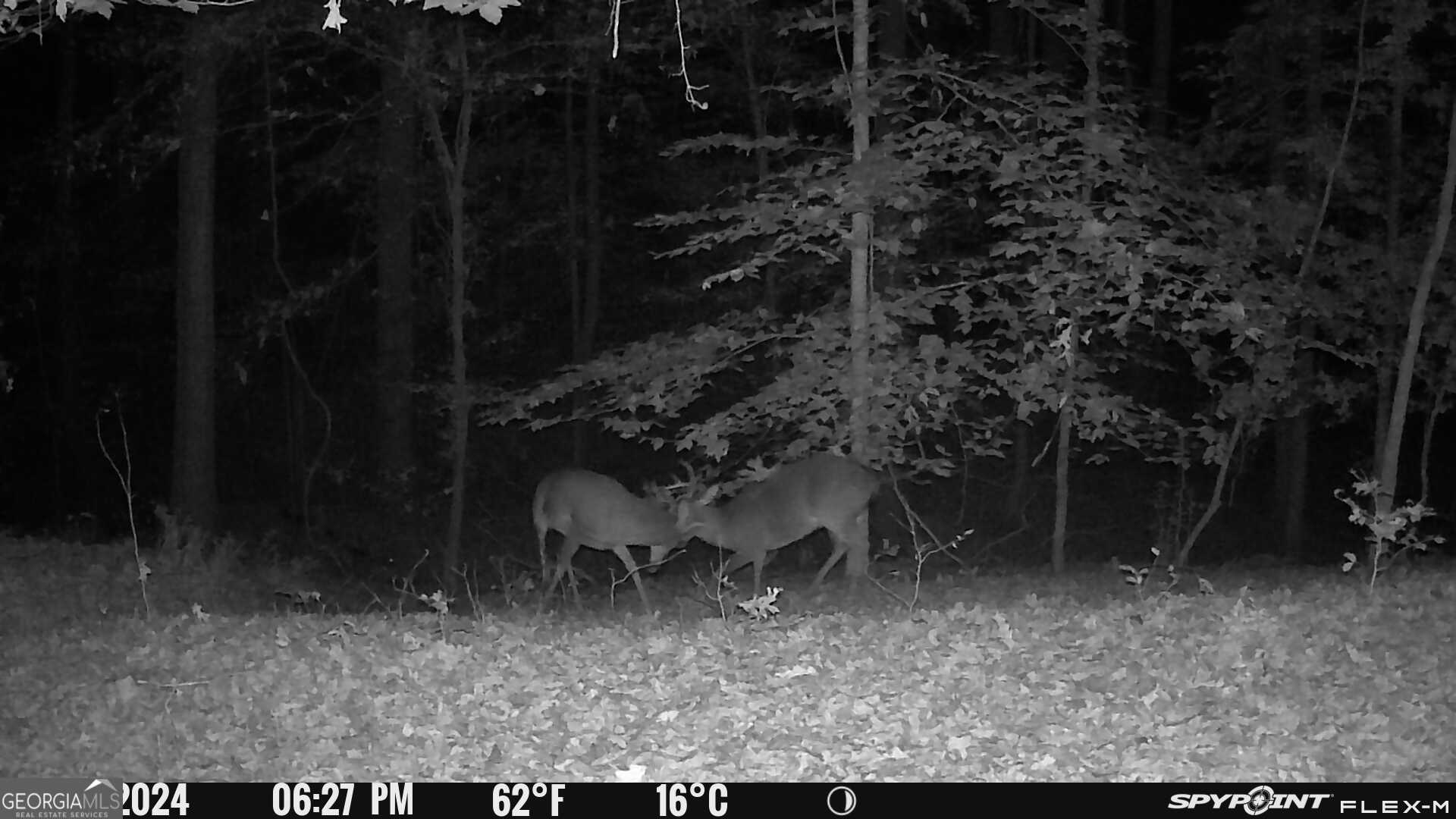 1590 James Adams Road Danielsville, GA 30633 - Photo 28 of 98