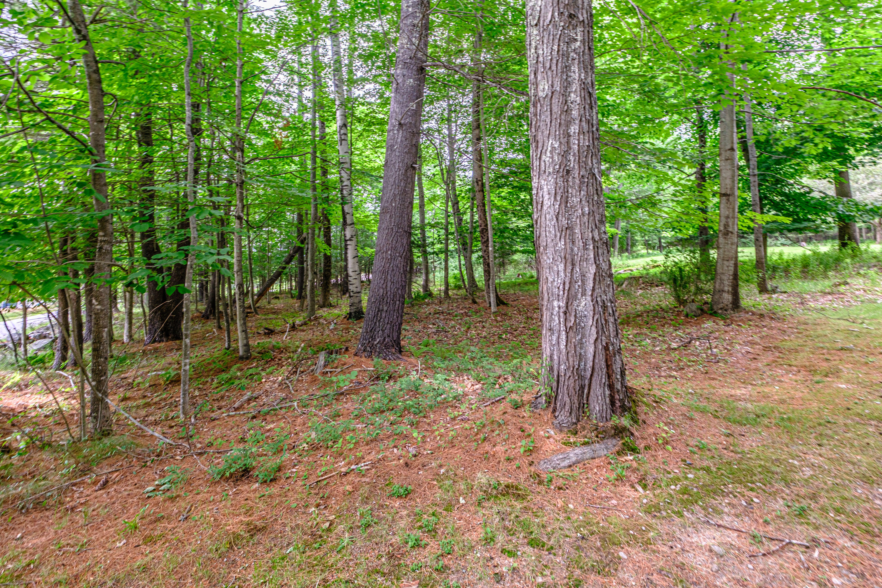 168 Old Stage Road Norway, ME 04268 - Photo 6 of 57 20260707gp-62023